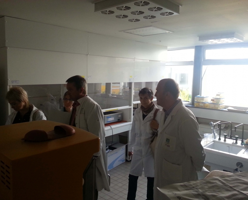 bat10 OLMIX konferencia LDA 22 Labor 1