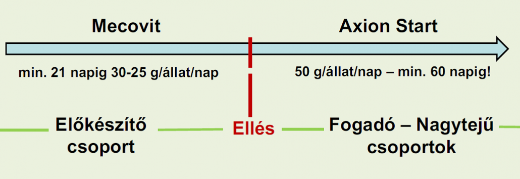 gyulladasmenedzsment1