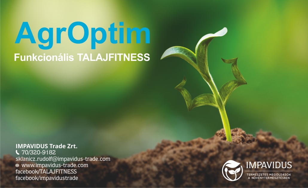 funkcionalis talajfitness