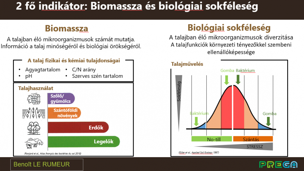 prega 2 fo