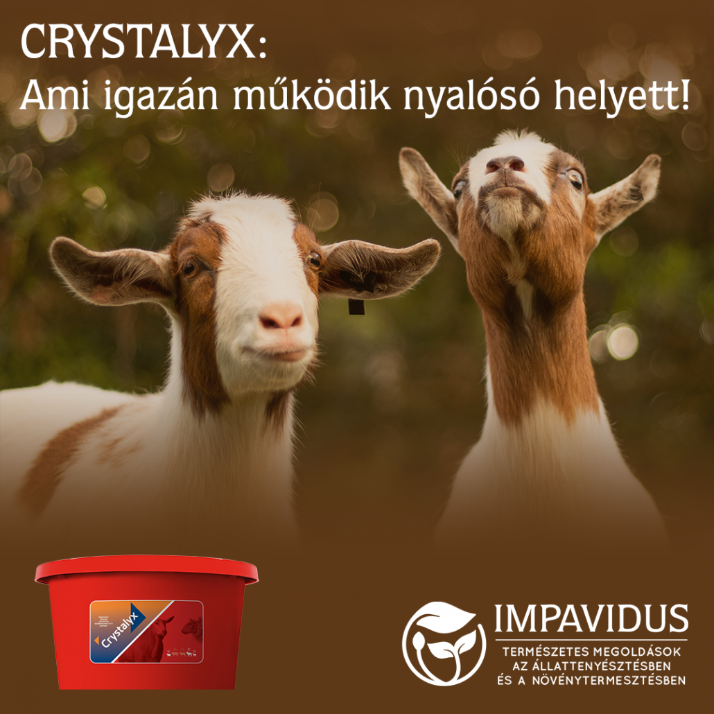Crystalyx juh