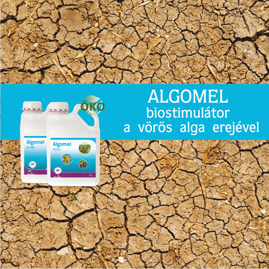 Algomel