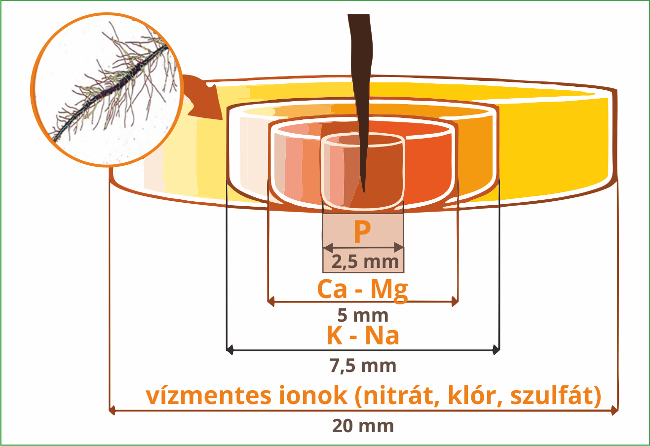 biostimulátorok gyökér ábra