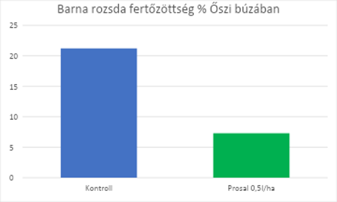 impavidus-prosal-barna-rozsda-fertozottseg-az-oszi-buzaban