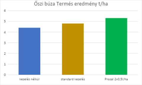 impavidus-prosal-oszi-buza-termes-eredmeny